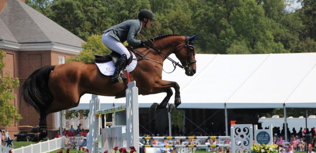 an equestrian jumping a horse over an oxer